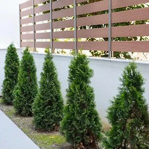 Casa Maresol Νέα Σκιώνη
